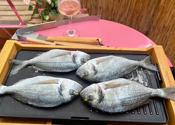 公寓 Rayon De Soleil